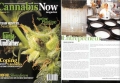 2013 Cannabis Now Magazine